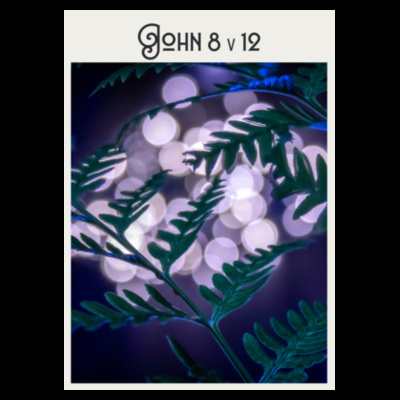 John 8v12 - AS Colour Recycled Phone Bag Design