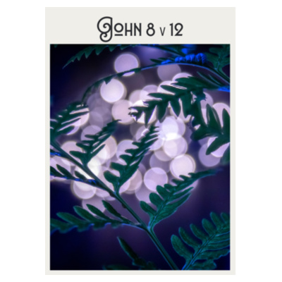 John 8v12 - Stainless Bottle Design